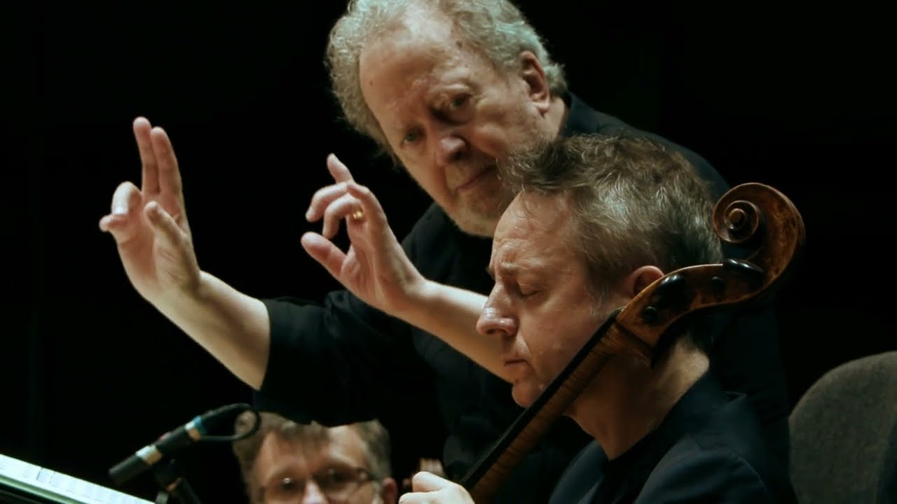 The French Cello