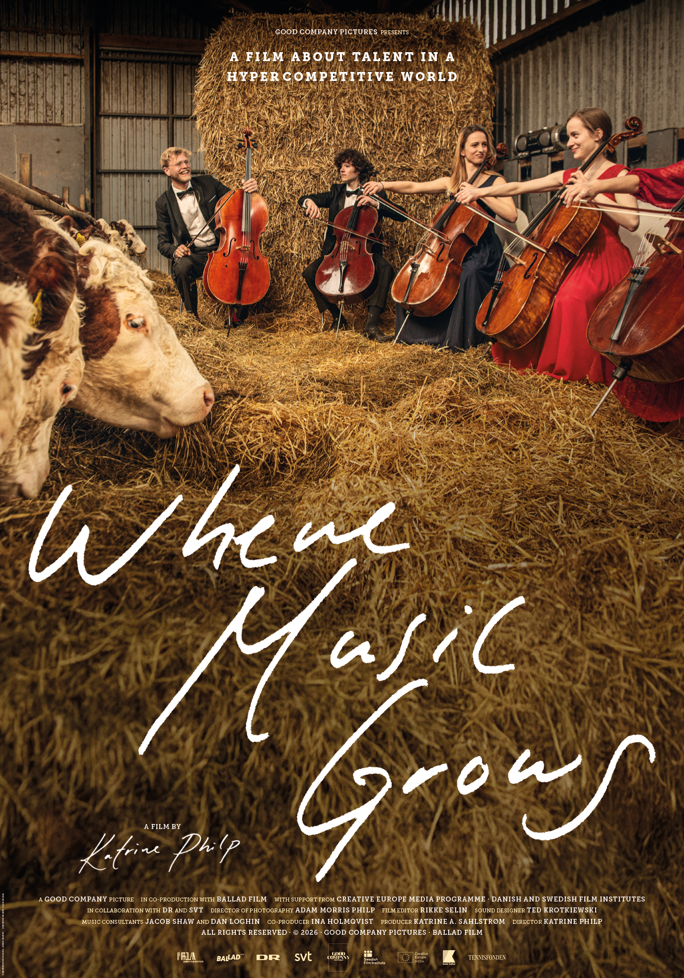 Scandinavian Cello School design